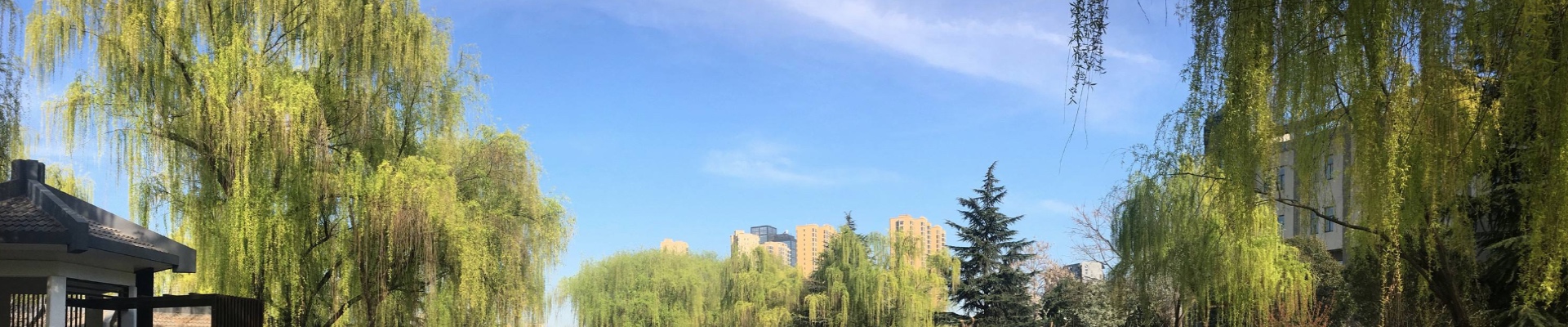 乐玩体育
